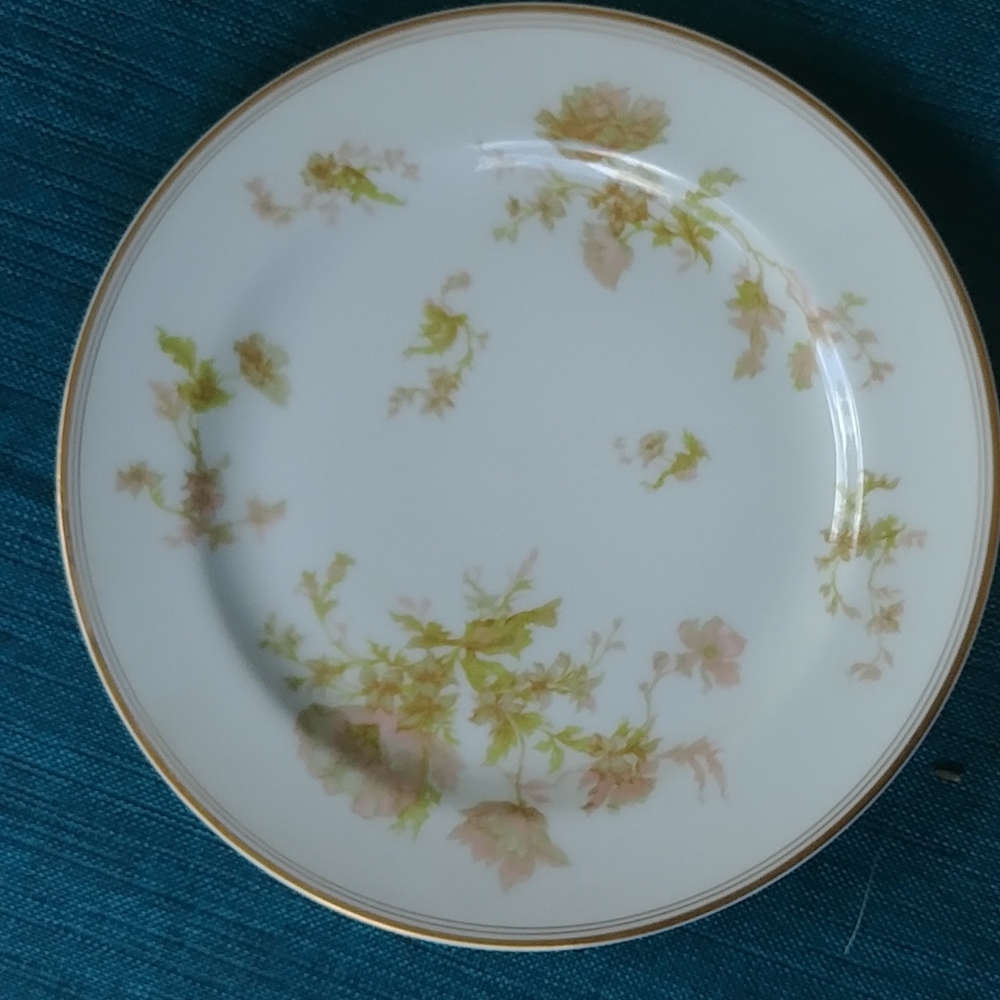 HAVILAND LIMOGES SET 6 SALAD PLATES SPRINGTIME